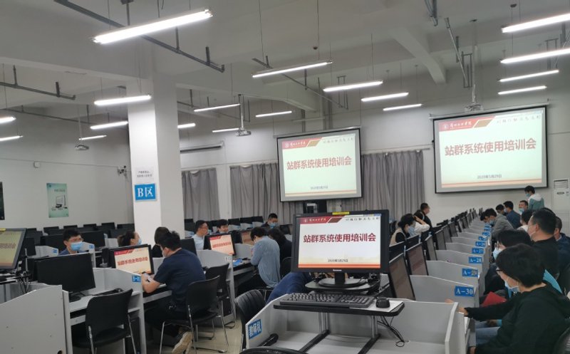AI站群程序：互联网创新引擎